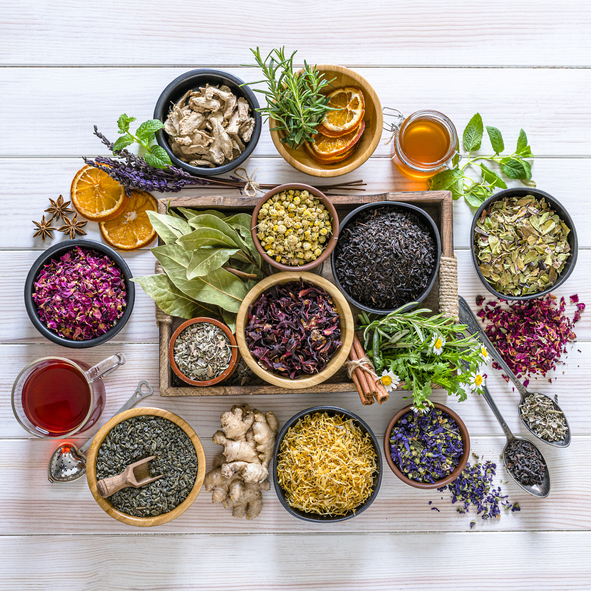 What are Botanicals?